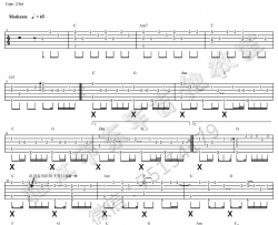 王大毛《去年夏天 指弹 》吉他谱-Guitar Music Score