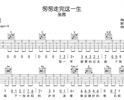 当你匆匆走完这一生吉他谱_张茜_C调弹唱谱_完整版