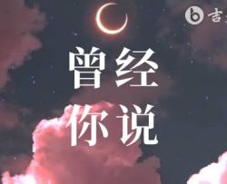 曾经你说吉他谱_赵乃吉_C调弹唱谱_完整六线谱