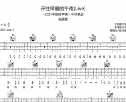 开往早晨的午夜吉他谱_张碧晨_C调扫弦版_吉他弹唱六线谱