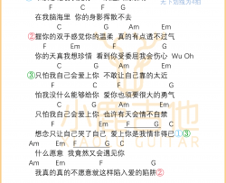 《情非得已》吉他谱庾澄庆C调指法-小鹿吉他
