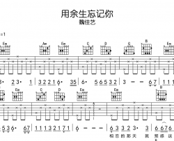 魏佳艺《用余生忘记你》吉他谱_G调吉他弹唱谱