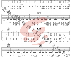 鸽子指弹谱-宋冬野-新手简单版-指弹吉他教学