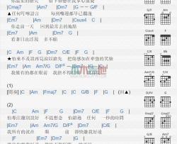 林忆莲《舍不得说再见》吉他谱-Guitar Music Score