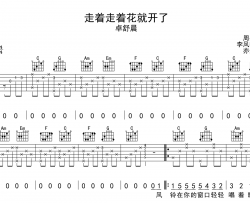 走着走着花就开了吉他谱_卓舒晨_C调弹唱六线谱