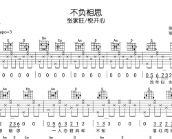 不负相思吉他谱_张家旺/悦开心_G调吉他弹唱谱