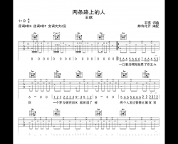 两条路上的人吉他谱_王琪_C调弹唱谱_高清六线谱