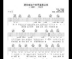 L（桃籽）&何文宇《愿你被这个世界温柔以待》吉他谱