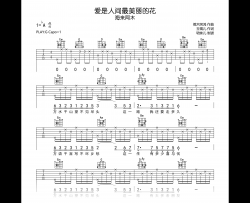 爱是人间最美丽的花吉他谱_海来阿木_G调弹唱六线谱