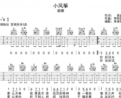 小风筝吉他谱_谢娜_《小风筝》G调完整版六线谱