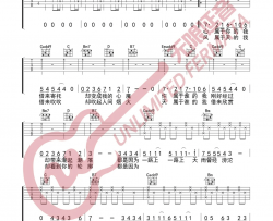 【G调扫弦版】苏玮《百年孤寂》吉他谱 吉他弹唱六线谱 Guitar Tabs