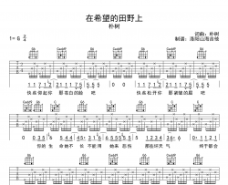 朴树《在希望的田野上》吉他谱_G调弹唱六线谱