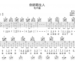 你好陌生人吉他谱_毛不易_C调弹唱谱_完整高清版