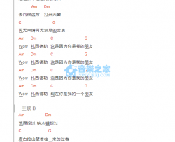 扎西德勒吉他谱 C调和弦谱_音乐之家编配_痛仰乐队