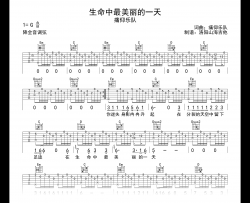 生命中最美丽的一天吉他谱_痛仰乐队_G调弹唱六线谱