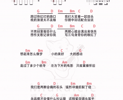 会痛的石头吉他谱 G调和弦谱-吉他163编配-萧敬腾