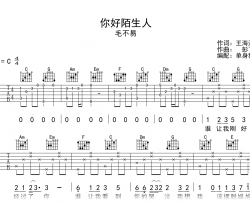 你好陌生人吉他谱_毛不易_C调弹唱六线谱