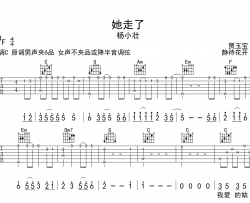 她走了吉他谱-C调原版弹唱吉他谱-杨小壮