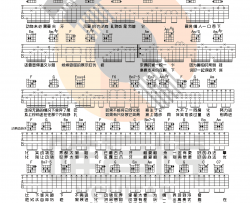 《动物世界》吉他谱-薛之谦-C调简单版弹唱谱-高清六线谱