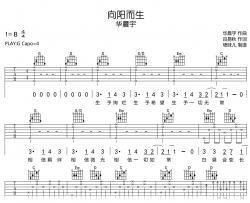 向阳而生吉他谱_华晨宇_G调弹唱谱_完整六线谱