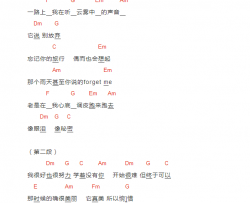 旅行中忘记吉他谱 C调和弦谱_音乐之家编配_袁维娅