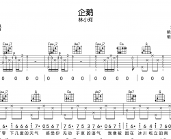 林小珂《企鹅》吉他谱_C调原版六线谱_《企鹅》吉他弹唱谱