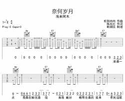 奈何岁月吉他谱_海来阿木_C调原版六线谱_吉他弹唱谱