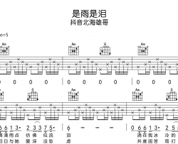 是雨是泪吉他谱_抖音北海雄哥_C调吉他弹唱谱