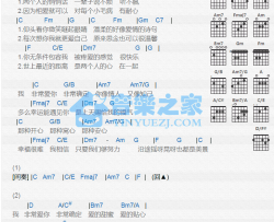 《情人知己》吉他谱_C调_梁文音_吉他伴奏弹唱谱