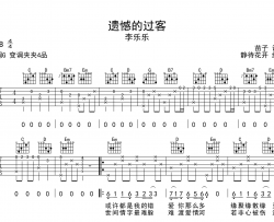 遗憾的过客吉他谱_李乐乐_G调弹唱谱