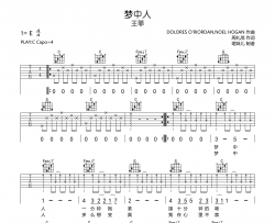 梦中人吉他谱-C调简单版六线谱-王菲