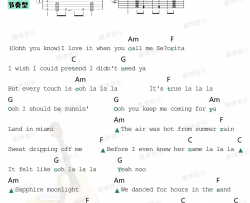 Shawn,Mendes,Camila,Cabello《Senorita》吉他谱(C调)-Guitar Music Score