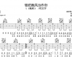 错把晚风当作你吉他谱_L(桃籽) /何文宇_C调弹唱谱